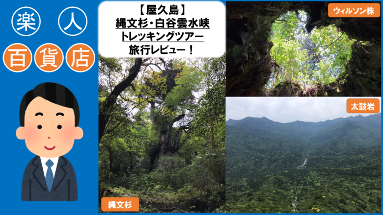 屋久島　縄文杉　白谷雲水峡　ウィルソン株　太鼓岩　トレッキングツアー